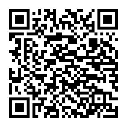 Sự Hành Động Chống Đua Xe