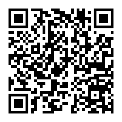 Người Lạ Mặt Song Sinh