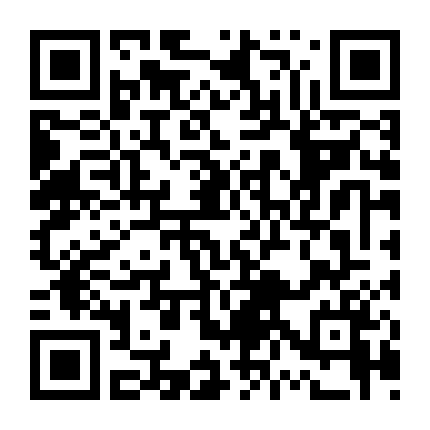 Người Kế Nhiệm Namsan (2020)