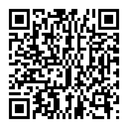 Cuộc Sống Không Có Súng No Guns Life