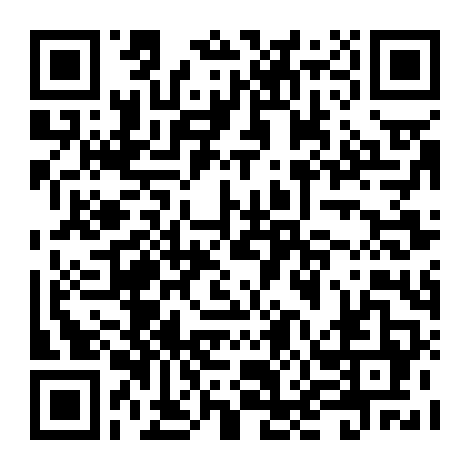 Môn Phái Võ Mèo: Huyền Thoại Một Chú Chó