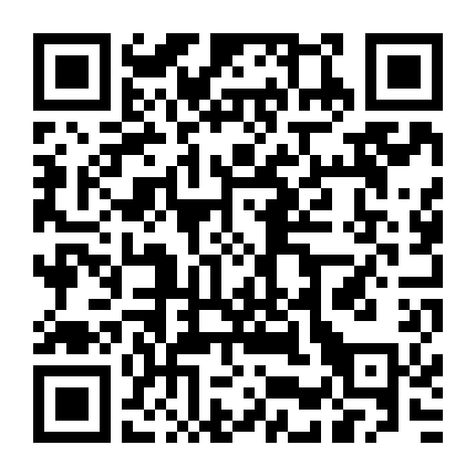 Chú Chó Đeo Giày Marcel