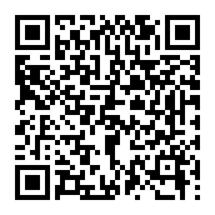 Máy Bay Mất Tích Phần 4