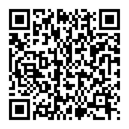 Naruto Nhiệm Vụ Bí Mật