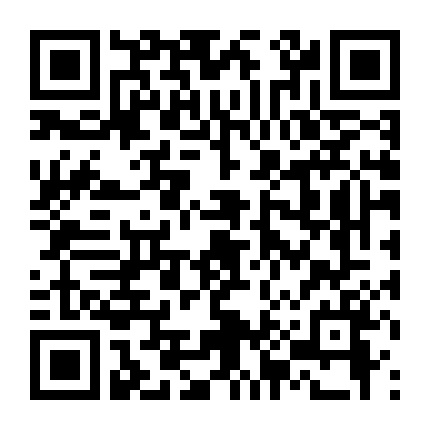 Chuyến Phiêu Lưu Của Gấu