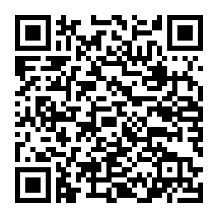 Cún Belle Và Giáng Sinh