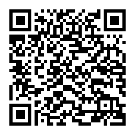 Air Force: The Movie - Danger Close