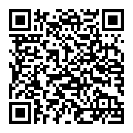 Diving With Dolphins