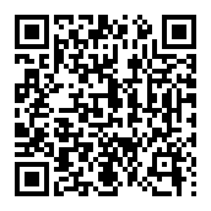 Cú Lừa Nên Duyên