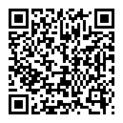 Tyler Rake: Nhiệm Vụ Giải Cứu 2