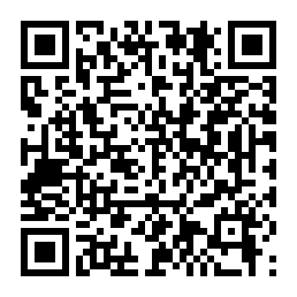 BJJ: Người Phụ Nữ Trên Đỉnh Cao