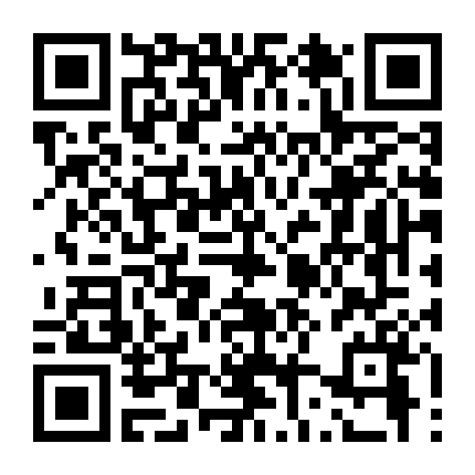 Đặc Vụ Áo Đen 2 : Tái Xuất