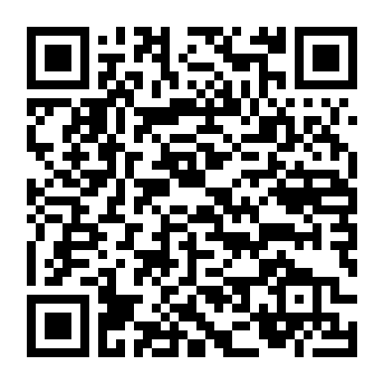 Đặc Vụ Bí Mật 2