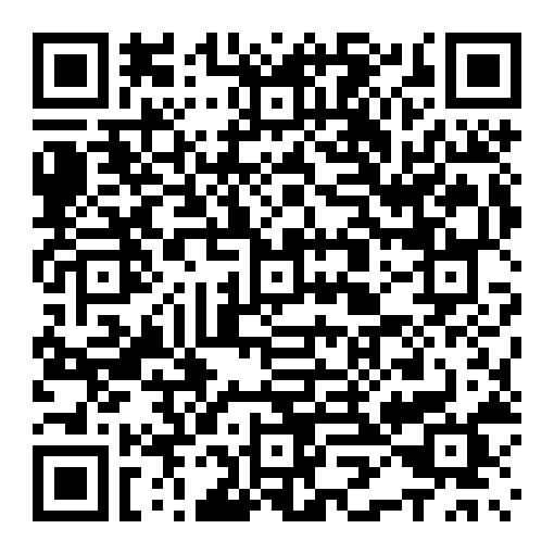 Detective Conan Movie 13: The Raven Chaser