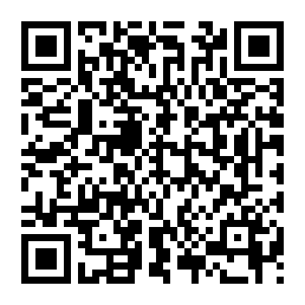 Chuyến Phiêu Lưu Của Ban Nhạc Rock