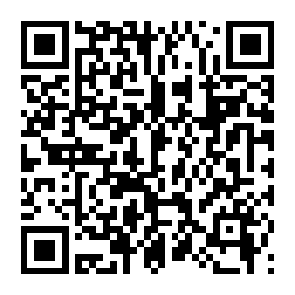 Người Vận Chuyển 4