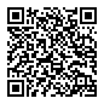 The Football Factory