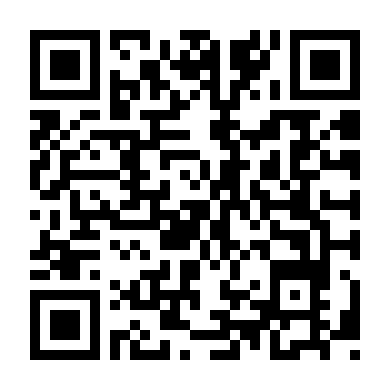 Bão Tuyết - Snowstorm