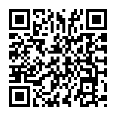 Siêu Trộm (Bản Việt)