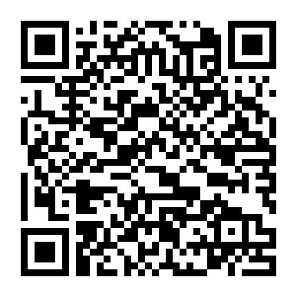 Biệt Đội 8 Chiến Dịch Congo