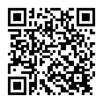 Gặp Lại Chị Bầu