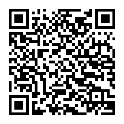 Phi Đội Conchord (Phần 2)