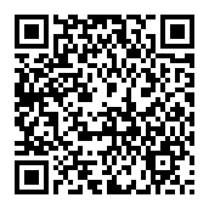 Pin Pak: Trâm Cài Tóc Hoàng Gia