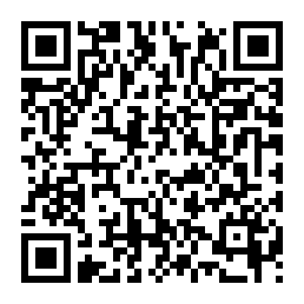 Cục Trinh Thám Thiếu Niên Dân Quốc