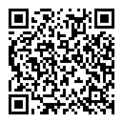 Thám Tử Phố Tàu (Phần 1)