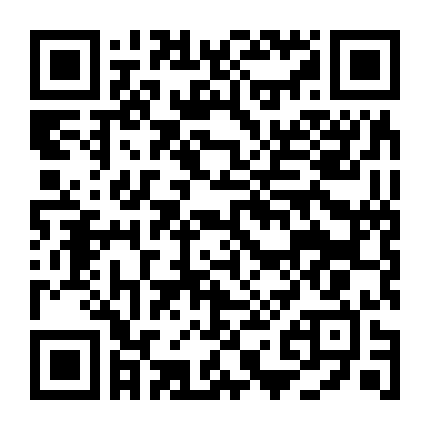 Mang Giáng Sinh Về Nhà