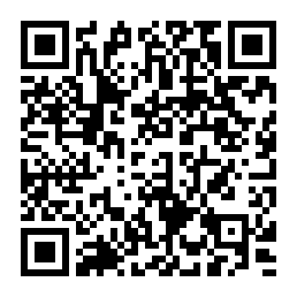 Tiểu Thuyết Gia Cuồng Loạn