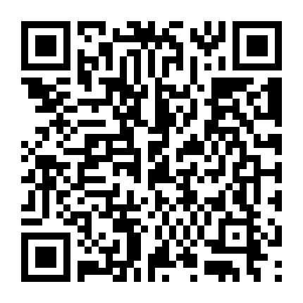 Bài Học Từ Chú Chim Cánh Cụt