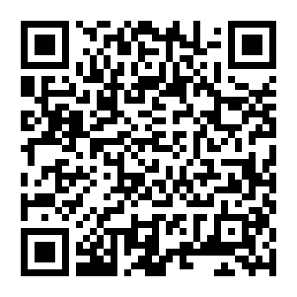 Tình Sử Lý Tiểu Long