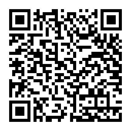 Đội Hành Động Liêm Chính 2004