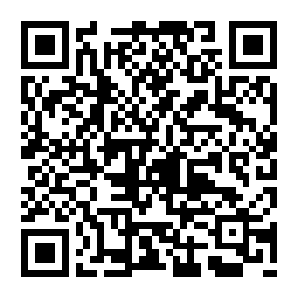 Đội Hành Động Liêm Chính 2007