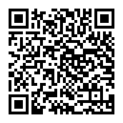 Người Vợ Bị Đánh Cắp