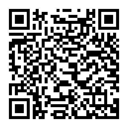 Người Mang Mật Danh K213