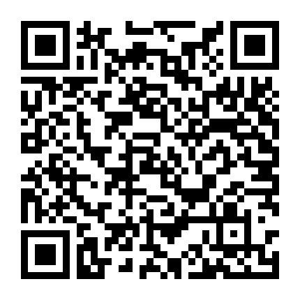 Hiệp Sĩ Xe Đen (Phần 2)