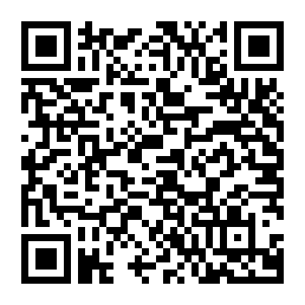 Đội Đặc Vụ Phá Án (Phần 2)