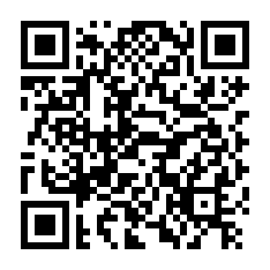 Nữ Điệp Viên Ngầm