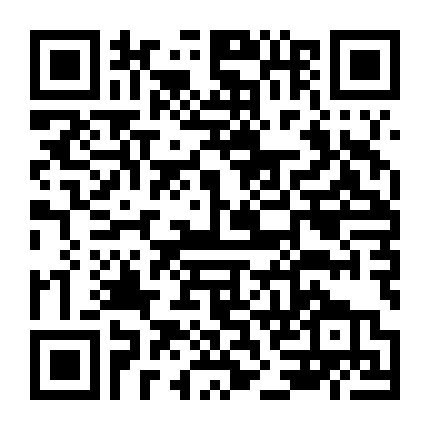 Song Thế Sủng Phi 2