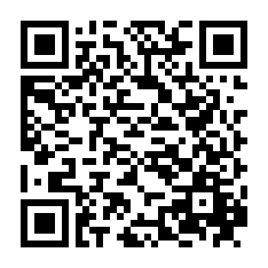 Phi Đội Tàng Hình