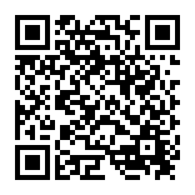 Người Vận Chuyển Nga