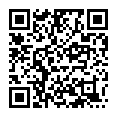 Vị Linh Mục Giả