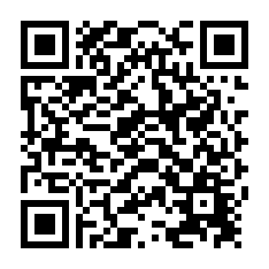 Chuyến Bay Cuối Cùng Của Amelia