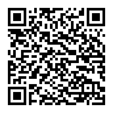 Đội Hành Động Liêm Chính