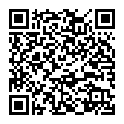 Ninja Đối Đầu Samurai