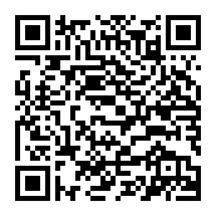 Những Bí Mật Về Mh370